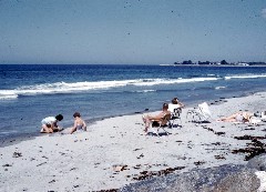 S0516 seashore